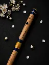 T04.webp